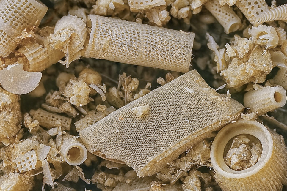 Structura pământului de diatomee