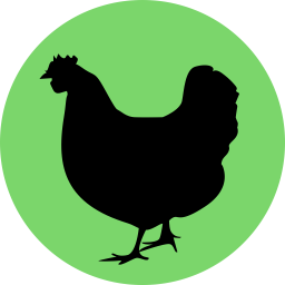 Găină