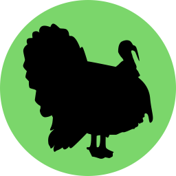 Curcă